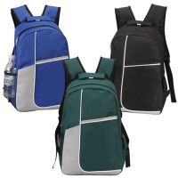 17" School Backpack - Multiple Pockets - Padded Back Panel