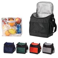 Soft Sided Cooler w/ Removable Clear Liner - The Hatchback