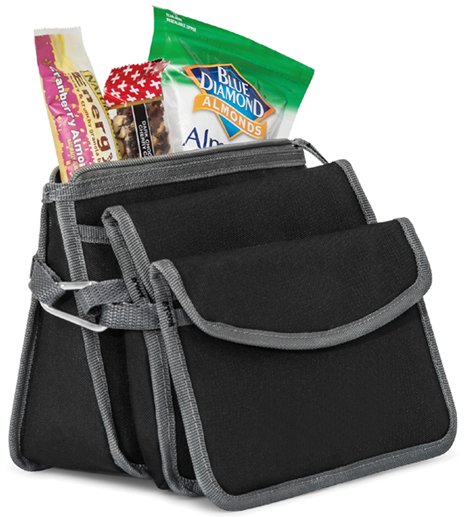 igloo insulated lunch bag